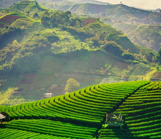 Rute Baru Scoot ke Kertajati dan Lombok, Peluang Eksplorasi Baru