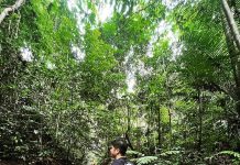 Bukit Tiga Puluh Jungle Run, Lari di Tengah Keindahan Hutan Tropis