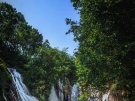 Grojogan Dhuwur, Air Terjun Tersembunyi yang Menawan di Pacitan