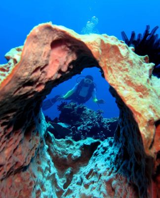 Menyelami Keindahan Biaro, Ruang, dan Tagulandang di Kepulauan Sangihe