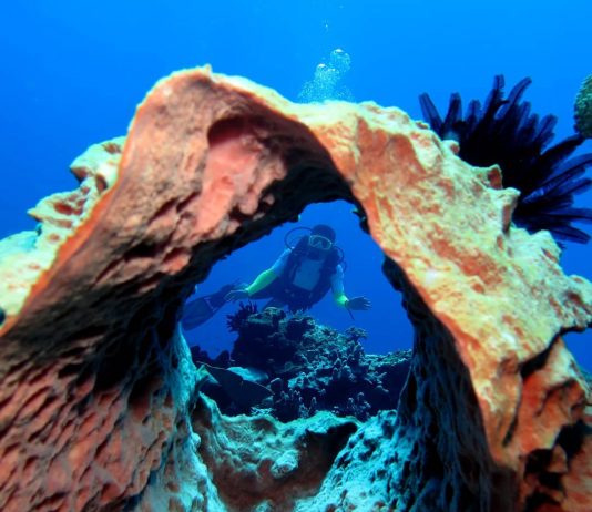 Menyelami Keindahan Biaro, Ruang, dan Tagulandang di Kepulauan Sangihe