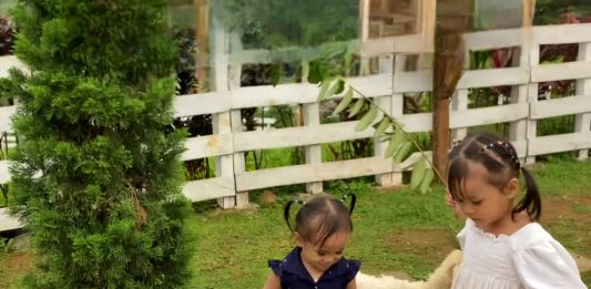 Serunya Nongkrong di Warung KebunQu, Bisa Camping dan Main di Mini Zoo