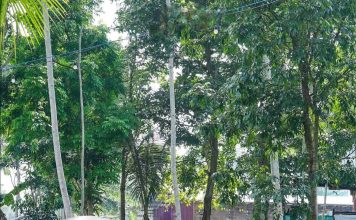 Camping Asyik Tanpa Ribet di Sleman, Yuk ke Ledok Sambi!